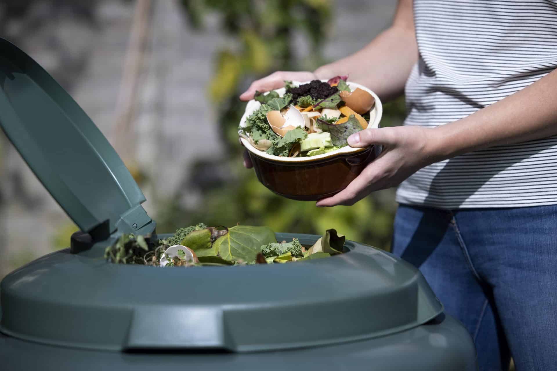 Featured image for “Making Your Shed More Environmentally Friendly”