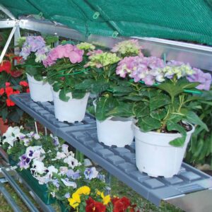 Palram_Greenhouses_Accessories_Twin_Shelf_Kit_Main_1-1