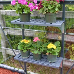 Palram_Greenhouses_Accessories_Twin_Shelf_Kit_Main_8-scaled