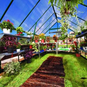 Palram_Greenhouses_Balance_8x12_Green_Inside-scaled