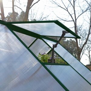 Palram_Greenhouses_Balance_Green_Roof-vent_1-scaled