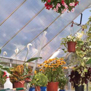 Palram_Greenhouses_Balance_Silver_Reinforcement