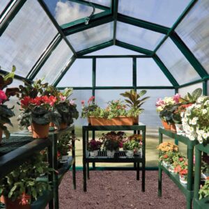 Palram_Greenhouses_EcoGrow_Green_Inside