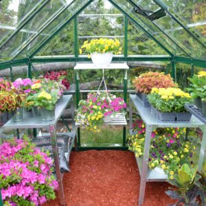 Palram_Greenhouses_Harmony_6x8_Green_Inside