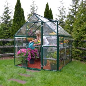 Palram_Greenhouses_Harmony_6x8_Green_Main_3-scaled
