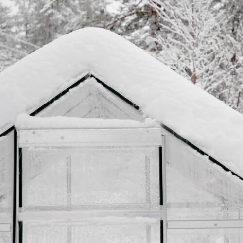 Palram Greenhouses Harmony Durable Structure