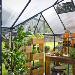 Palram_Greenhouses_Victory_Orangery_Spacious_room-scaled