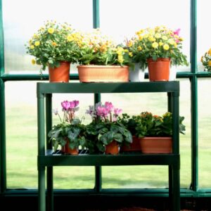 Palram_Rion_Greenhouses_Accessories_Two_Tier_Staging_01-scaled