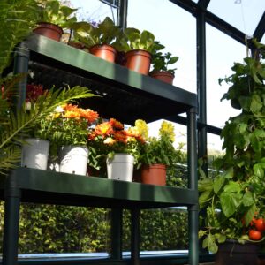 Palram_Rion_Greenhouses_Accessories_Two_Tier_Staging_02-scaled