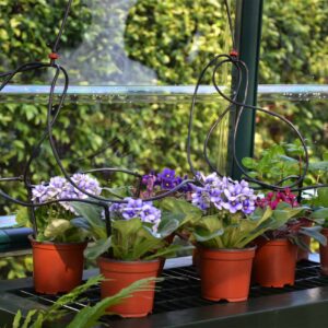 Palram_Rion_Greenhouses_Accessories_Two_Tier_Staging_05-scaled