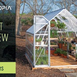 grow-your-own-with-balance-green