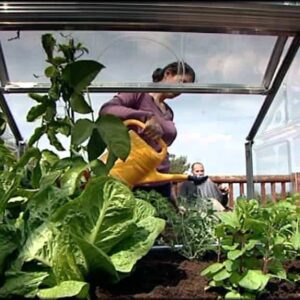 plant-inn-urban-gardening-by-pal